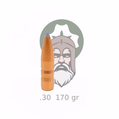 Acorn .30'' (7,62 mm), 170 grain (recommended V0: < 800 m/s)