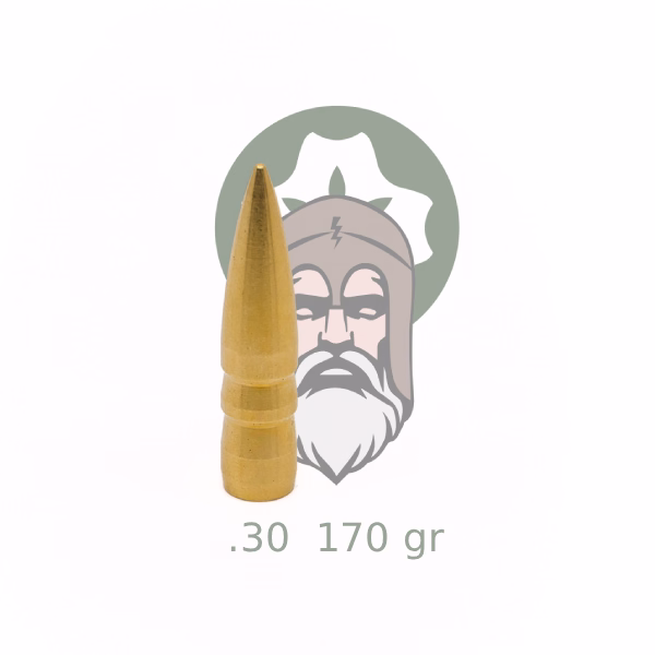 Arrow .30'' (7,62 mm), 170 grain