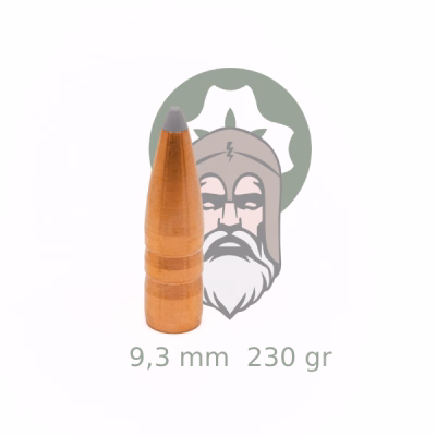 Acorn 9,3 mm (.366''), 230 grain